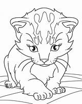 Kitten Coloring Pages Cartoon Printable Kitty Sheets sketch template
