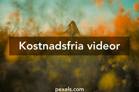 100 000 Bästa Videorna Med Kvinnor · 100 Gratis Nedladdning · Pexels