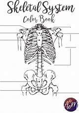 Skeletal Coloring System Printable Book Medicine Tumblr sketch template
