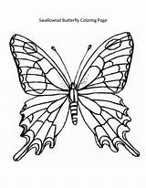 Swallowtail Monarch Morpho Davemelillo Picturesfor sketch template