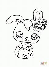 Coloring Pages Pet Shop Cute Littlest Animals Kids Rabbit Print sketch template