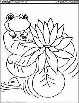 Coloring Frog Lily Pages Pad Monet Sweet Drawing Frogs Claude Color Leapfrog Print Getdrawings Water Drawings Getcolorings Bullfrog Printable Colorings sketch template
