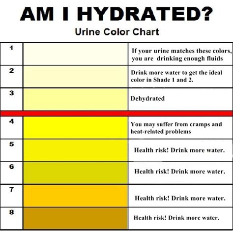 urine color chart  meaning hubpages