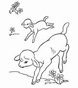 Farm Coloring Pages Momjunction Farms sketch template