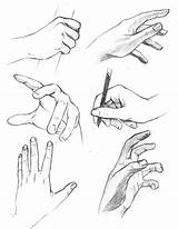 Hand Hands Drawing Reference Poses Human Manga Draw Gesture Different Sketch Drawings Sketches Pose Anime El Anatomy Dibujo Will Getdrawings sketch template