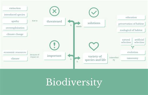 mapa conceitual da biologia da biodiversidade verde venngage