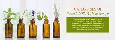 categories  essential oils  benefits families notes