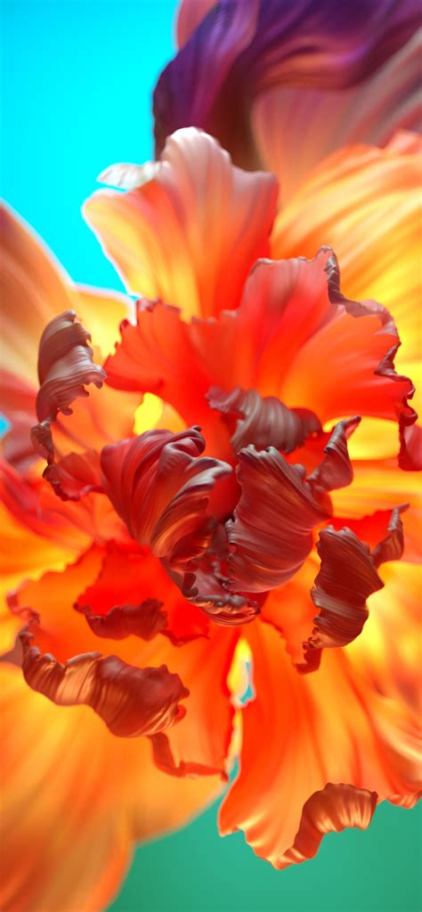 details  orange flower background abzlocalmx