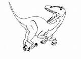Coloring Pages Velociraptor Raptors Raptor Toronto Printable Getcolorings Color Clipart Imprimer Remarkable Popular Library Sketch Coloringhome Logo sketch template
