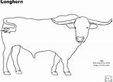 Coloring Cattle Pages Cow Longhorn Beef Breed Longhorns Archive Livestock Bull Drawing July Taco Pdf Animal Print Science Version Meat sketch template