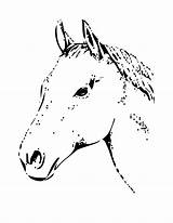 Horse Coloring Pages Head Stall sketch template