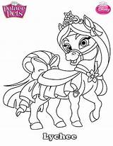 Pets Coloring Palace Princess Pages Disney Kids Puppy Lychee Pet Fun Print Color Animal Pony Sheets Getcolorings Printable Mulan Getdrawings sketch template