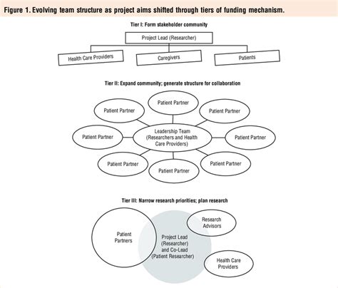 visual representation  team structure  support   scientific diagram