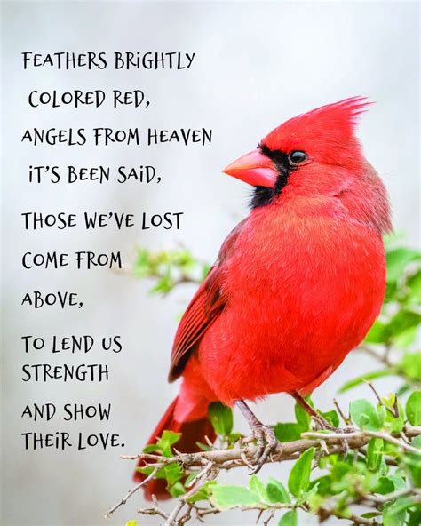 red cardinal poster printable memorial poem printable art etsy cardinals poster cardinal