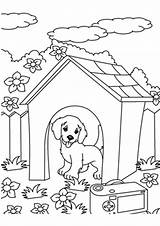Coloring Pages Outdoor Puppy Puppies sketch template