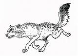 Wolven Kleurplaat Coloring Dieren Animaatjes Loups Coloriages Wolfe Moeilijk Animes Par sketch template