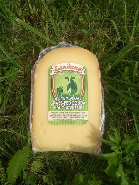 piece  cheese sitting   grass