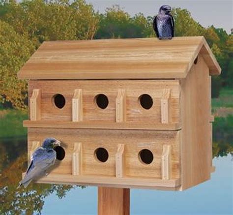 amazing bird house ideas   backyard space martin bird house bird house bird house kits