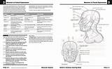 Netter Anatomia Cuaderno Edicion sketch template