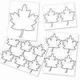 Leaf Traceable Patterns Comments Coloring sketch template