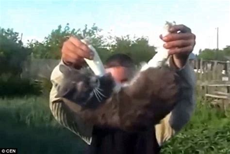 Russian Cat Is Killed After Being Tortured By A Gang Of Teenagers
