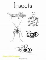 Coloring Pages Insect Printable Bug Insects Getdrawings Getcolorings sketch template