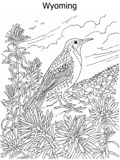 slipper pink hard coloring pages birds