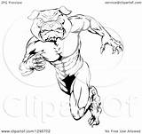 Clipart Tough Muscular Man Bulldog Mascot Upright Sprinting Illustration Royalty Left Animal Atstockillustration Vector 2021 Clipground sketch template