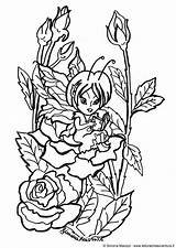 Coloring Roses Fairy Between Large Edupics sketch template