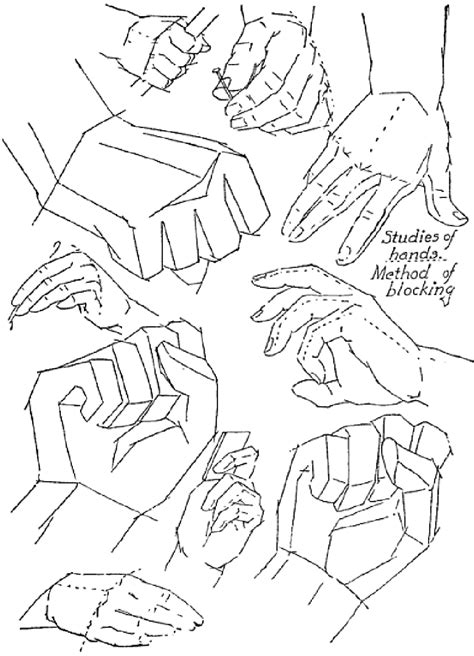 drawing hands techniques    draw hands  references  examples   draw step