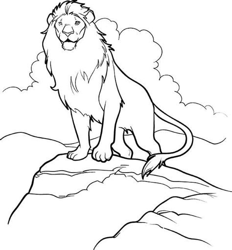 images  coloring pages  pinterest stone fox