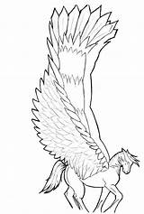Pegasus Winged Sketch Letzte Malvorlagen Kostenlos sketch template