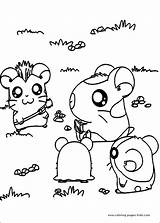 Hamtaro Coloring Pages Cartoon Cute Color Printable Kids Animals Sheets Book Character Info Print Coloriage Fun Cartoons sketch template