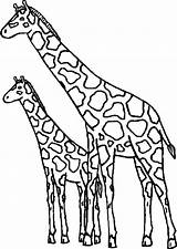 Tropicali Giraffe sketch template