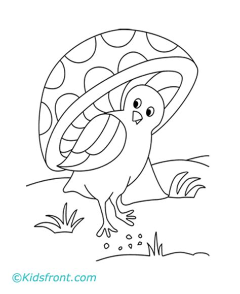 cute bird coloring pages printable