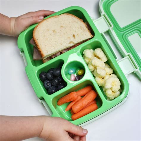 Tiger Lunch Box Cheap Dealers Save 51 Jlcatj Gob Mx