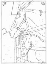 Kleurplaat Kleurplaten Manege Paarden Ausmalbilder Paard Stall Pferde Reitschule Moeilijk Mandala Tekeningen Source Altijd Vind Leukste Eerst Animaatjes Bezoeken sketch template