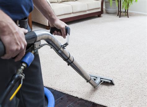 carpet cleaning shampooing service nyc american maintenance