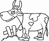 Cow Krowa Mewarnai Sapi Kuh Vacas Kolorowanki Malvorlagen Vaca Druku Kolorowanka Krówka Krowy Mucca Lucu Pastwisku Kleurplaat Krowka Cows Zwierzeta sketch template