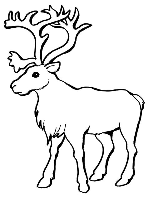 printable reindeer coloring page  print  color