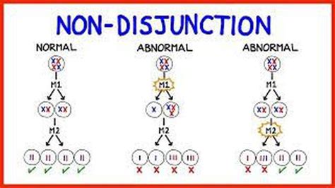 Chromosomal Non Disjunction Medizzy