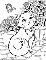 Kleurplaten Poes Katten Honden Kat Schattige Kittens Poezen Bloemen Hond Terborg600 Uitprinten Downloaden Dieren Artikel Blumen sketch template