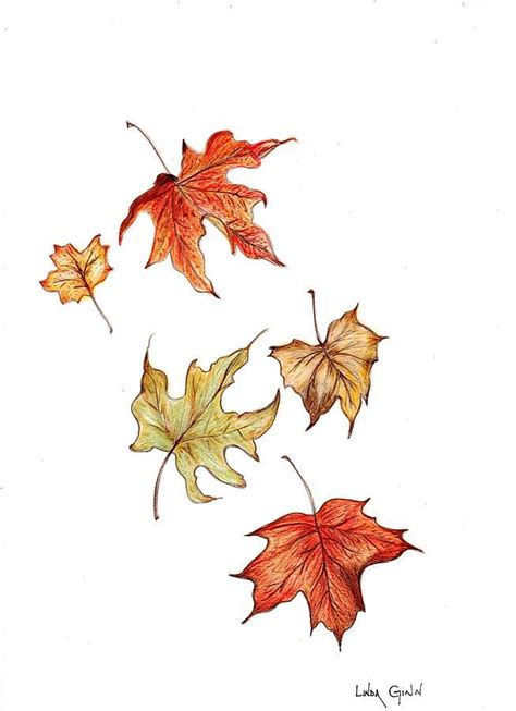 draw  leaf fall aesthetic drawing
