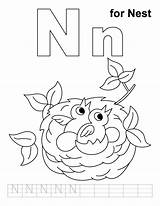 Nest Worksheets Handwriting Coloringhome Mamae Ninho Esperando Passarinhos sketch template