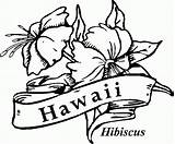 Coloring Hawaiian Luau Tropical Coloringhome Coloringpagesfortoddlers sketch template