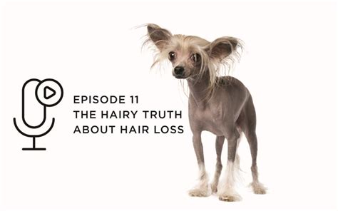 episode 11 the hairy truth about hair loss orentreich medical group