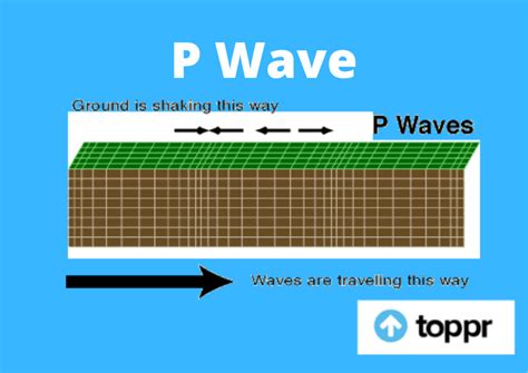 p wave definition properties shadow zone examples