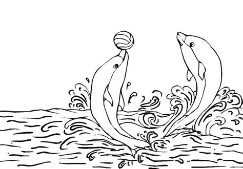 dolphin coloring page coloring book  coloring pages