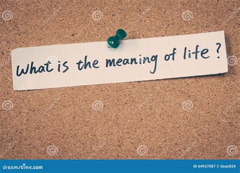 wat  de betekenis van het leven stock afbeelding image  begrip leven