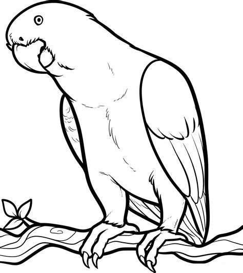 parrot template printable